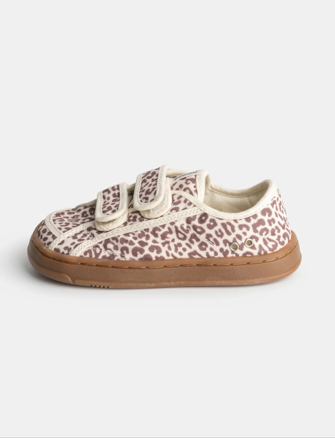 Koops Eister Leopardo - Imagen 2