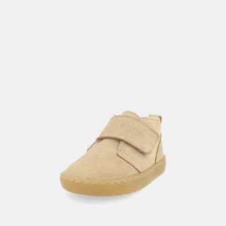 Blanditos Ottawa Arena