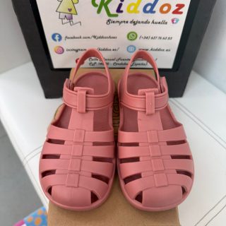 Batilas Cangrejera Rosa