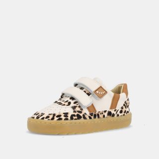 Blanditos Caicos Print