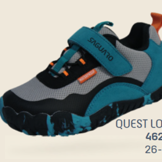Saguaro Quest Low