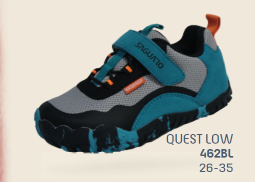 Saguaro Quest Low